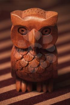 Owl Stock Photo