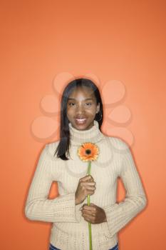 Portrait of African-American teen girl holding single Gerbera Daisy standing against orange background.