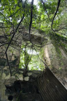 Royalty Free Photo of a Window and Wall of an Abandoned Building Structure With Tree Branches