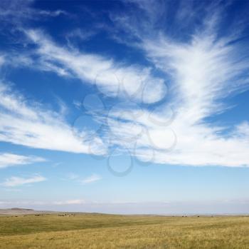Royalty Free Photo of Clouds Over a Field