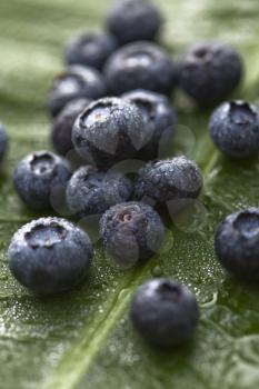 Royalty Free Photo of Blueberries on a Banana Leaf