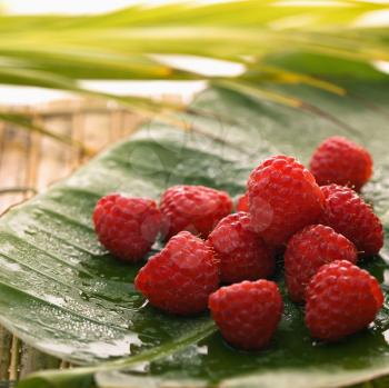 Royalty Free Photo of Red Raspberries on a Banana Leaf