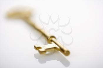 Royalty Free Photo of a Selective Focus of a Brass Skeleton Key