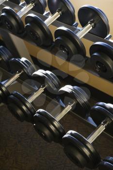 Two rows of dumbbells on a weight rack. Vertical shot.