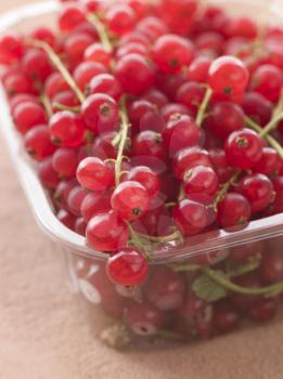 Royalty Free Photo of Red Currants in Packaging