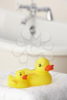 Rubber ducks in bathroom