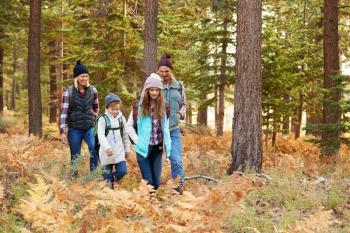 Family hiking through forest, California, USA