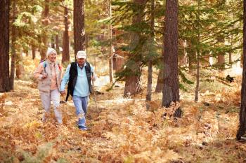 Senior couple hold hands hiking in a forest, California, USA