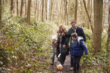Family and dog walk in a wood, boy turning round, close up