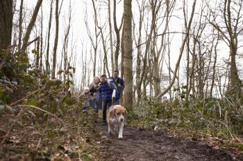 Dog leading family walking in a wood, low angle view