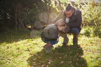 Boy And Father Playing With Autumn Leaves in Garden