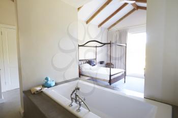 Interior Of Contemporary Open Plan Bedroom With Bath