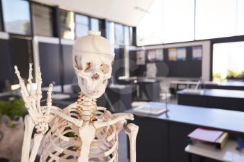 Skeleton in an elementary school science classroom