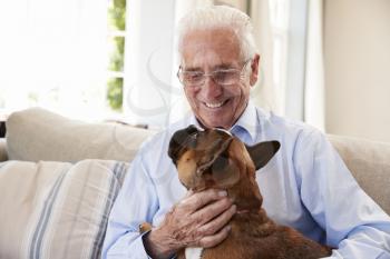 Senior Man Sitting On Sofa At Home With Pet French Bulldog