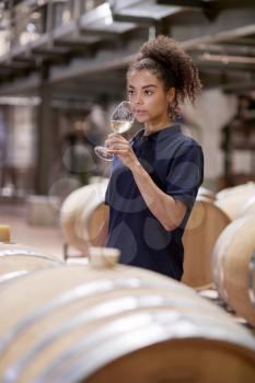 Young woman wine tasting in wine factory warehouse, vertical