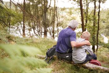 Grandfather and grandson on a hike sitting on a fallen tree in a forest, looking ahead, back view