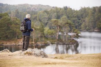 Middle aged man standing on a rock admiring the view of a lake, back view, Lake District, UK