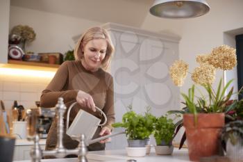 Mature Woman Watering And Caring For Houseplants In Kitchen At Home
