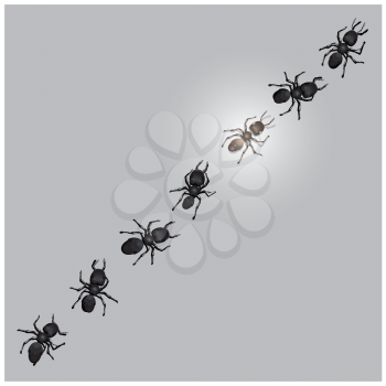Royalty Free Clipart Image of a Line of Worker Ants
