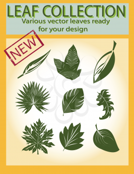 Royalty Free Clipart Image of a Leaf Collection