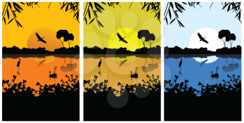 Three different views on a lake sunset background