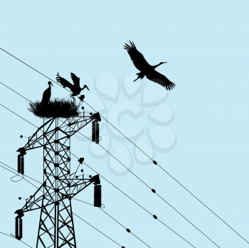 Storks nest on top of an electricity pylon