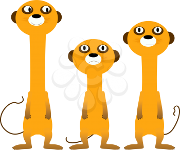 Curious meerkats, isolated and grouped objects over white background