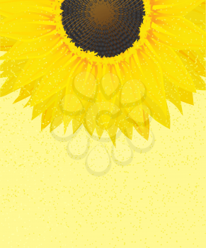 Decorative sunflower on a sunny background with copy space
