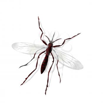 Watercolor style drawing of a mosquito over white background