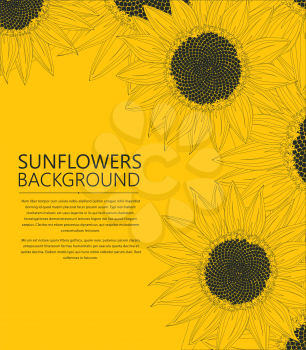 Sunflowers text card, vector illustration