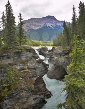 Falls Athabasca in a deep canyon in the north of Canada