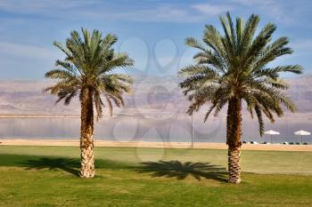  A medical beach on the Dead Sea in Israel