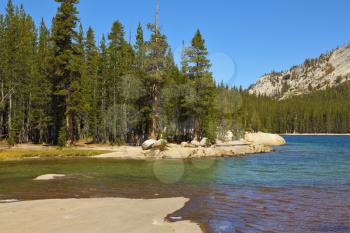 Flat coast of shallow lake in mountains of national park Yosemite