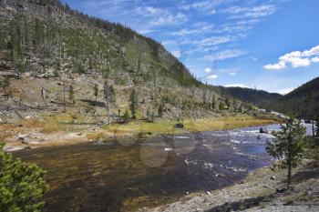 The superficial  Gibbons-river in Yellowstone national park