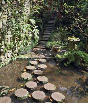 A huge picturesque park on the island of Madeira. Decorative track across the pond, lined with wooden stumps