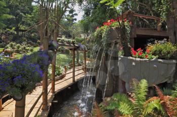 Gorgeous huge park on the island of Madeira. Bamboo path between the fountain and flower beds