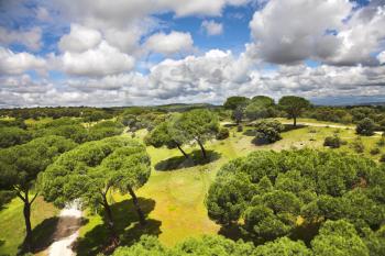 Huge suburban park of Madrid and flying spring the clouds photographed from a moving cable car