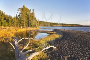 Azure lake on flat marshy plain in Yellowstone national park