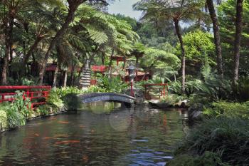 The park on the island of Madeira -  Monte Palace Tropical Garden. The red Chinese-style pavilions and a wonderful bridge over a pond with goldfish. 