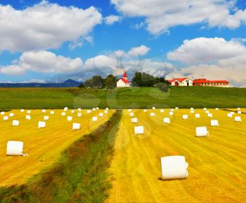 Far seen farm with red roof and a neat outbuildings. Rural field after harvest. Grass clippings packaged in white plastic bags. 