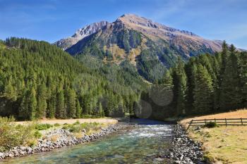  Austrian Alps. Headwaters Krimml waterfalls. The narrow stream flows between fields and pine forests. Bluish - green transparent water glows in the sun