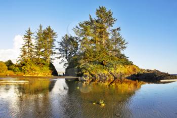  Small picturesque islands on an colossal sandy beach of Pacific coast of Canada