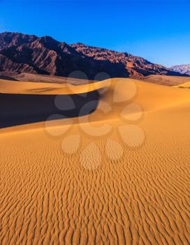 Bright solar morning in picturesque part of Death Valley. Gentle slopes of sandy barkhans shine orange light. Mesquite Flat Sand Dunes