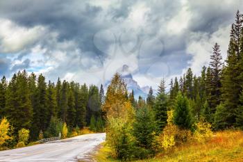 Lovely Golden Autumn in Banff National Park. Highway among orange grass and evergreen trees. Canada Rockies