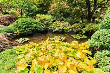 Scenic decorative park Butchart Gardens on Vancouver Island, Canada. Small quiet pond, overgrown with lilies