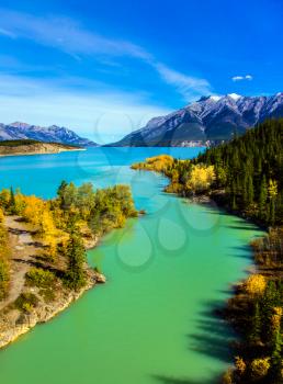 Warm September in the mountains of Canada. Exquisite Abraham Reservoir Lake with turquoise water. On coast of the lake autumn multi-color woods. Concept of ecological and active tourism