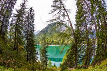 The concept of environmental and hiking. Walk around the lake Lago di Braies, Dolomites. Water reflects mountains and forest