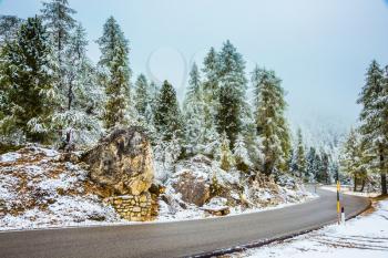 Dolomites in Northern Italy. Fir forest covered with the first snow. Wet road to the pass Giau