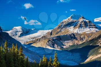 Magic Park Banff. Mountains and glaciers around Lake Peyto