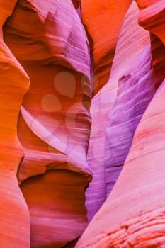 Red and orange colored clay covered delightful magical light. Upper Antelope Canyon in the Navajo reservation. Arizona, USA